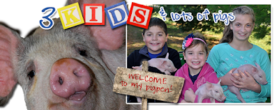 3 kids and lots of pigs:  welcome to my pig pen