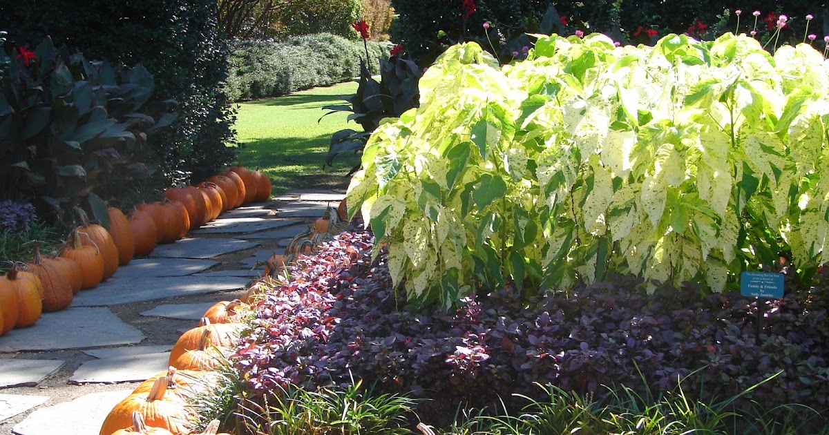 New Utah Gardener When Is The Average First Frost Date In Utah?
