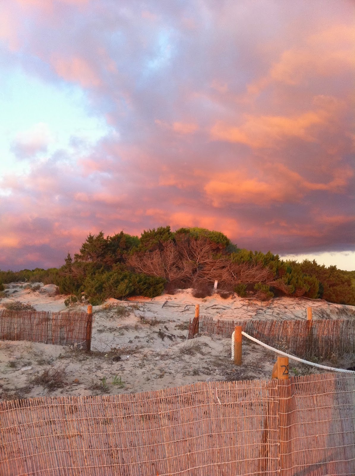 Https Www Geschaeftsberichte Rating Ch Fileadmin User Upload Redakteure Rating 2017 Pdf Gbr2017 Ar Helvetia Pdf