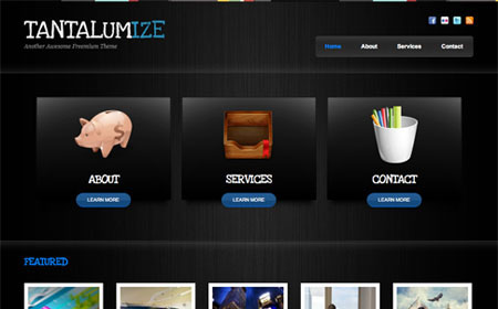 ady designt free wordpress Themes