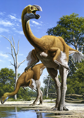 Gigantoraptor