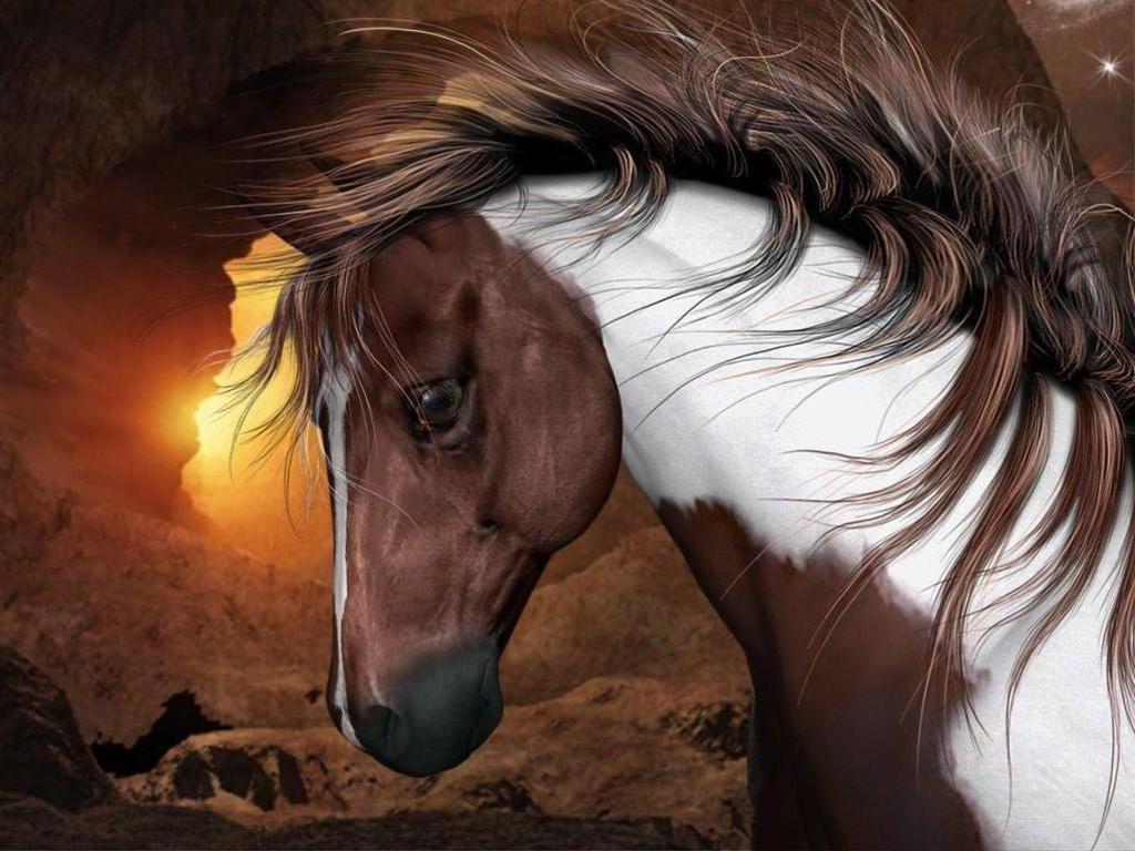 Pictures Blog Beautiful Paint Horse