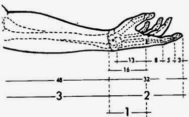 http 1 bp blogspot com ncjow3 k4sw vmpuaoeioii aaaaaaaaaea faaxjok0azg s1600 res10 jpg