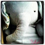 My Elephant  ♥