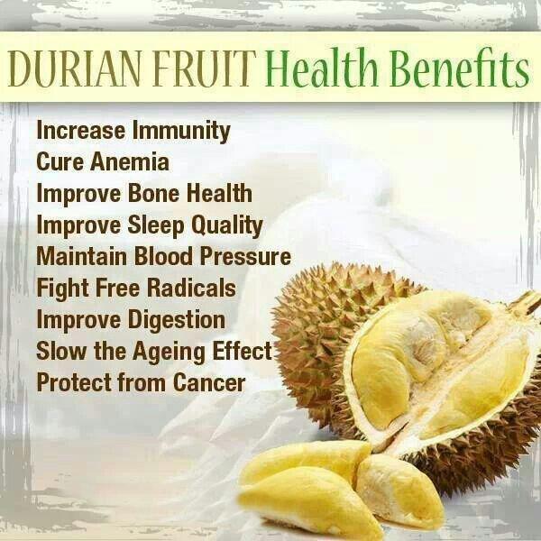 Medical and Health Science Health benefits of Durian Fruit
