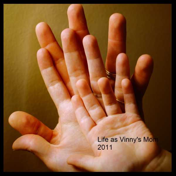 Life as Vinny's mom