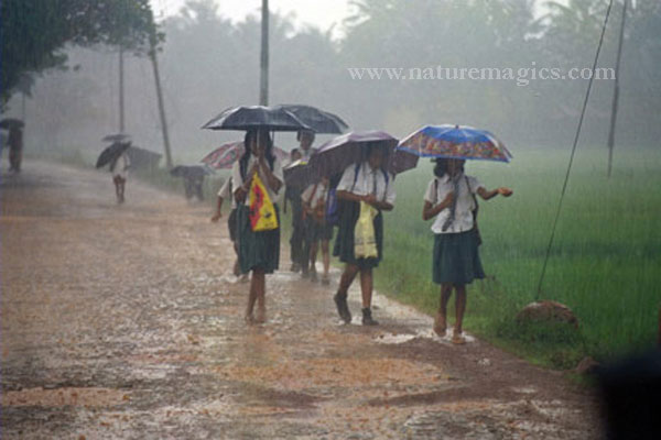 Cheruthuruthy School