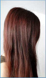 marion 67 bordo