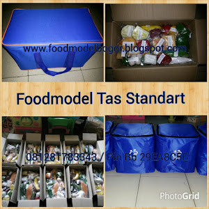 Food Model Standart