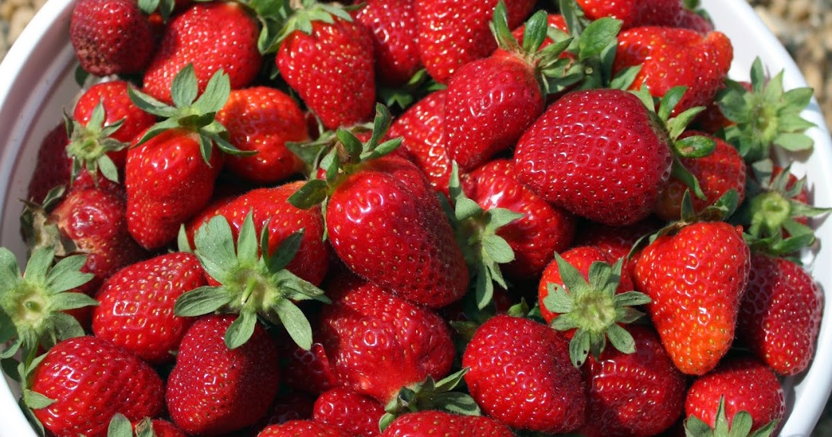 Fleur de Lolly Strawberry Jam