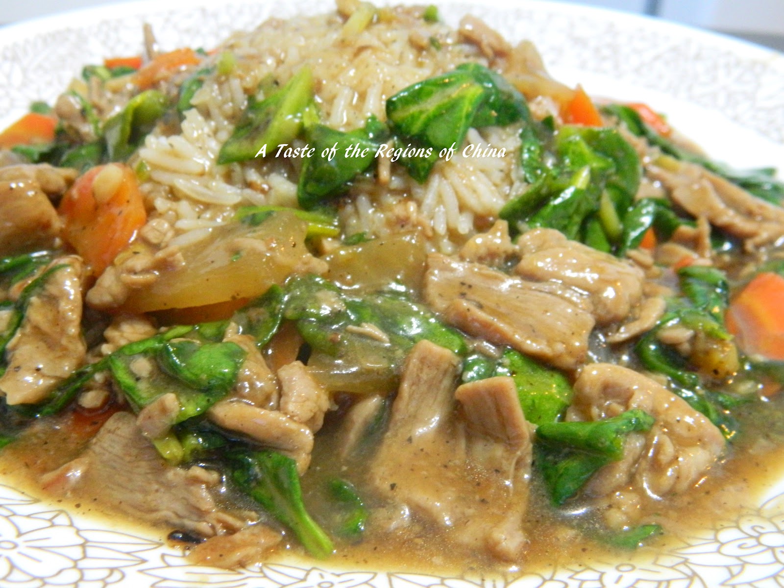 A Taste Of the Regions of China 台式牛肉燴飯 Taiwan Style Beef in Gravy over