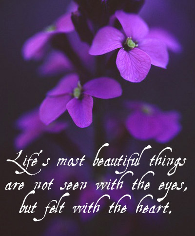 Fav Quote Friday | Simple Pleasures: Finding Beauty, Spreading Kindness