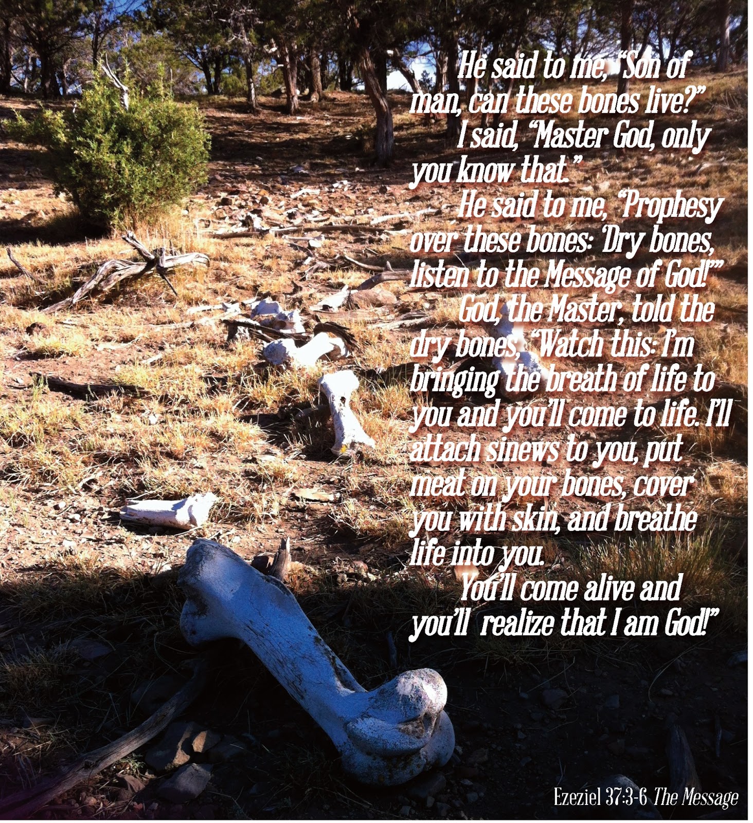 Ezekiel 37The Valley of Dry Bones