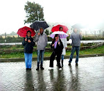 Punta de lapa.Chiloé 2011