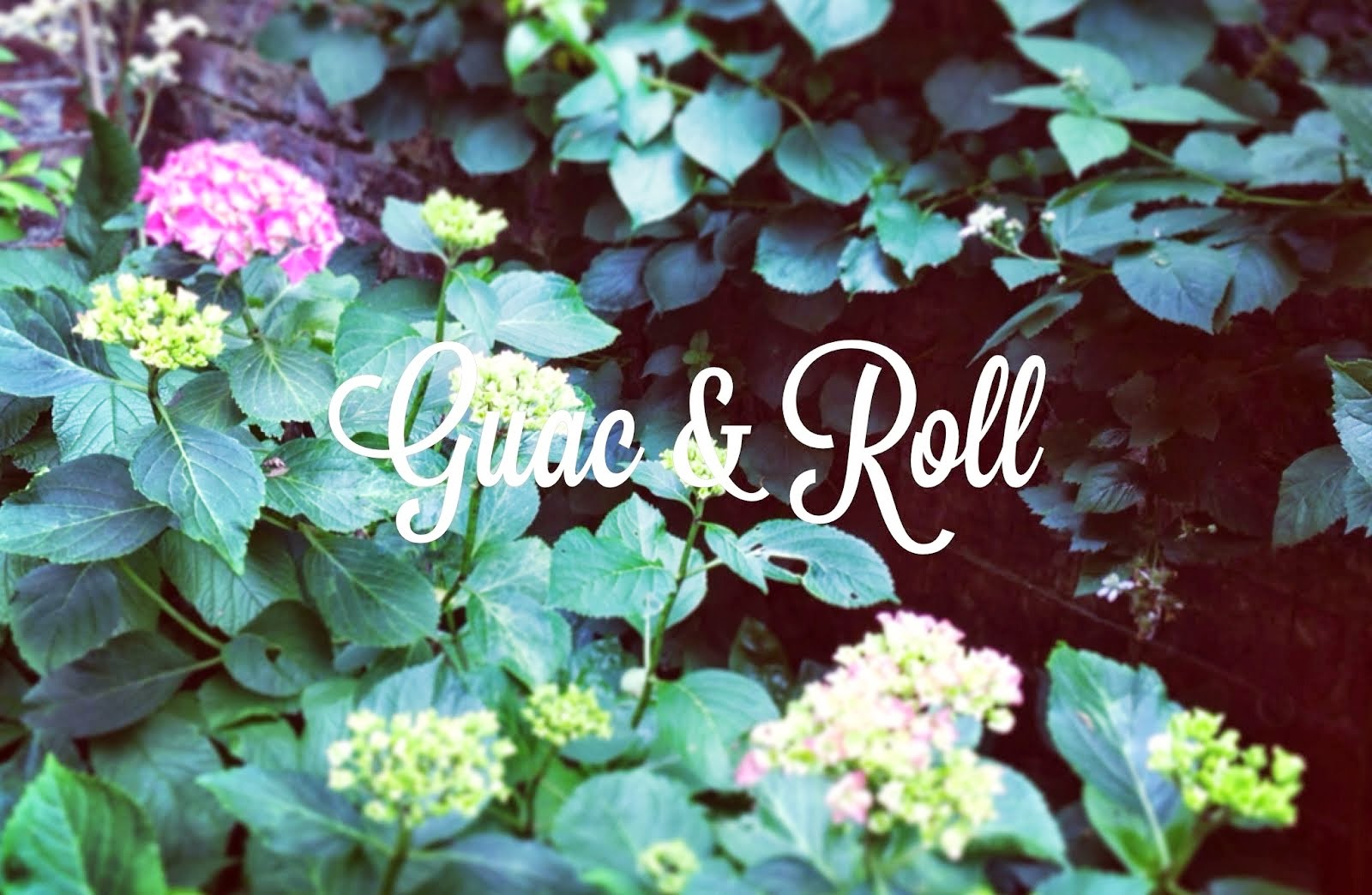 Guac and Roll