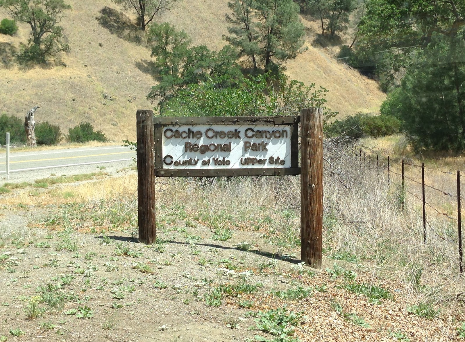 Living the life of Riley Cache Creek Canyon Regional Park