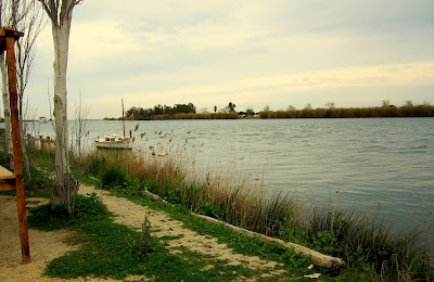 delta ebro carrilet desembocadura rio ebro 