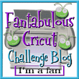 Fantabulous Cricut Challenge Blog