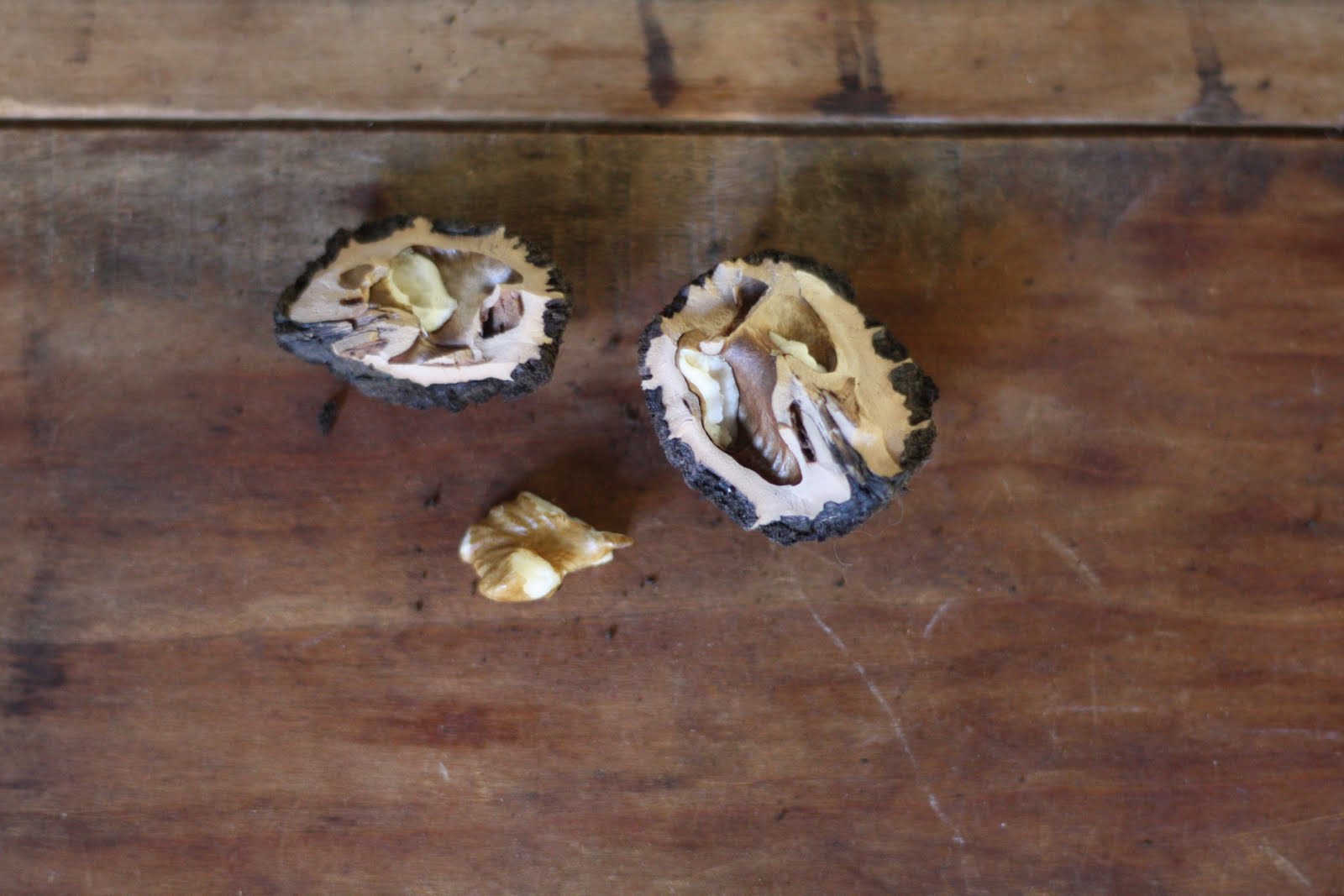 E.A.T. Black Walnuts Part II