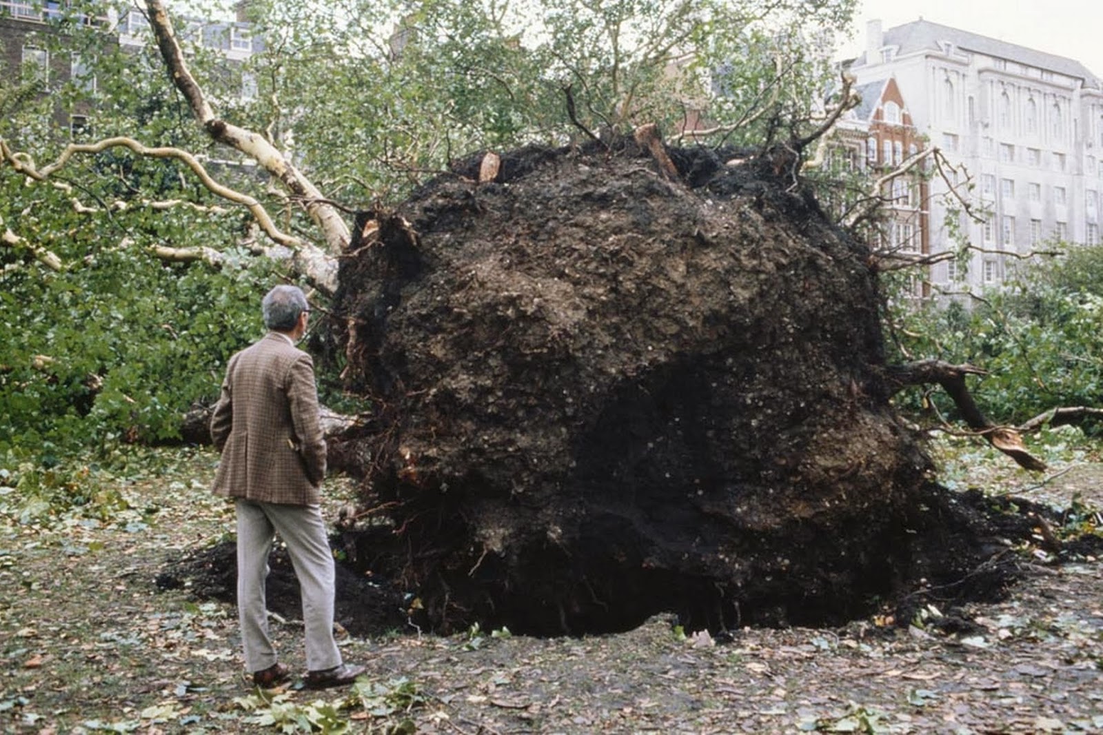 Roosevelt Severe & Unusual Weather: UK weather: Worst storms for 26 YEARS forecast ...