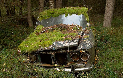 Carros Abandonados