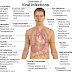 Mononucleosis infecciosa