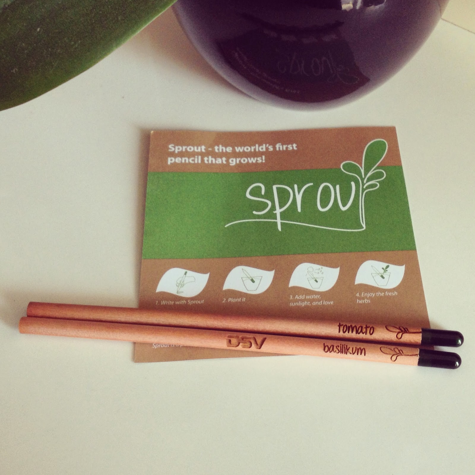 Sprout - La matita che cresce