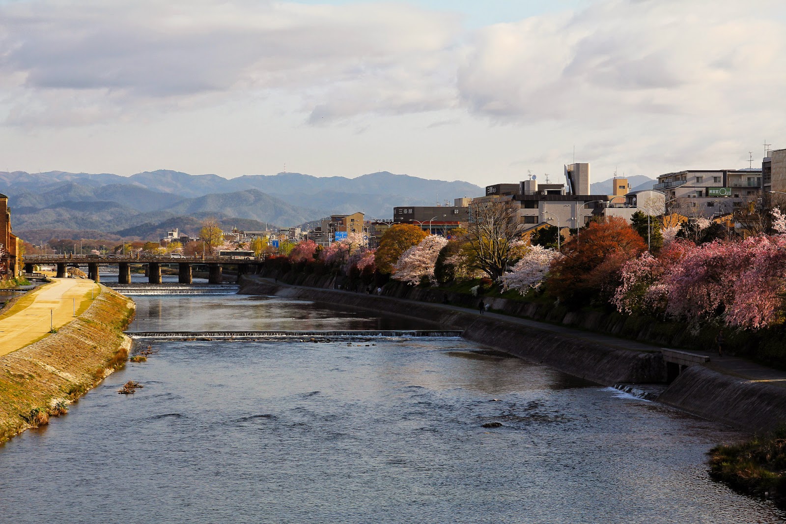 のぶやNobuya: 【京都】鴨川散策、四条大橋