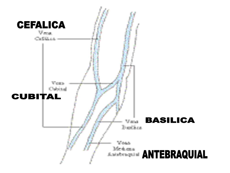 CONOCIMIENTOS BÁSICOS NURSING VENOCLISIS CATETERISMO PERIFÉRICA