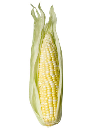 Corn On Cob