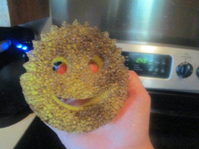 Review: Scrub Daddy Brings A Smile in the Kitchen – Mark x Abi