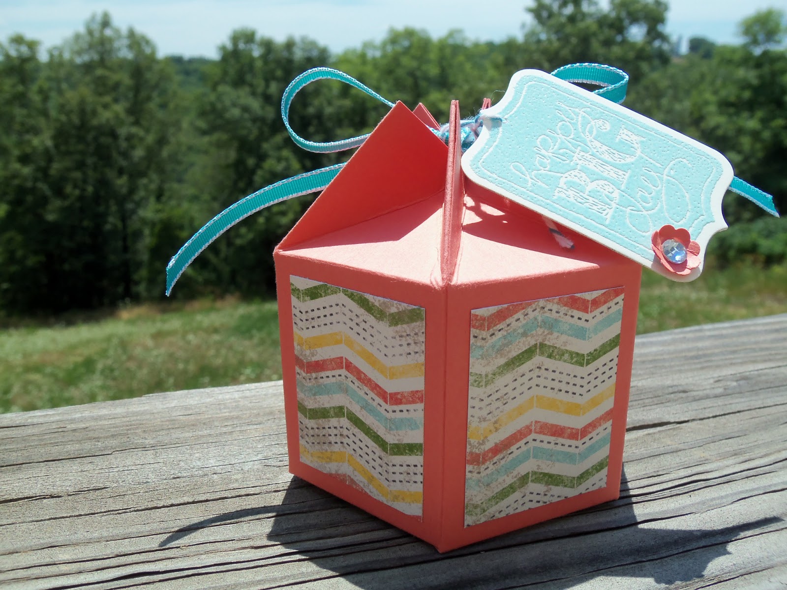Crafty Shannon Double Mini Milk Carton
