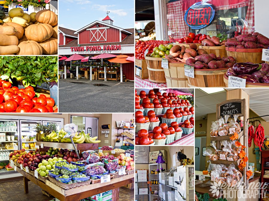 A Neu York Adventure New Jersey's BEST Apple Cider Donuts?...Twin Pond