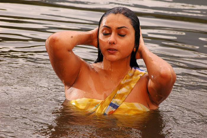 namitha new spicy namitha exposing from pachi mirapakai actress pics