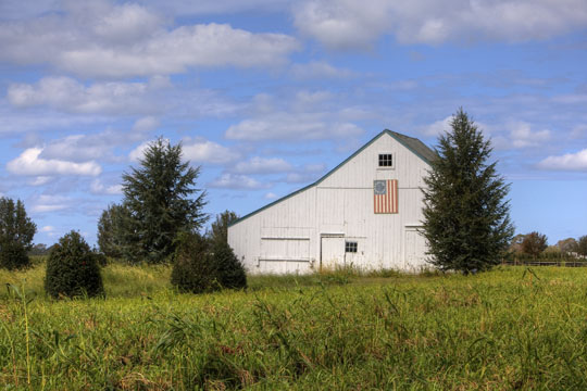 Take A Look Around Laurel Ny