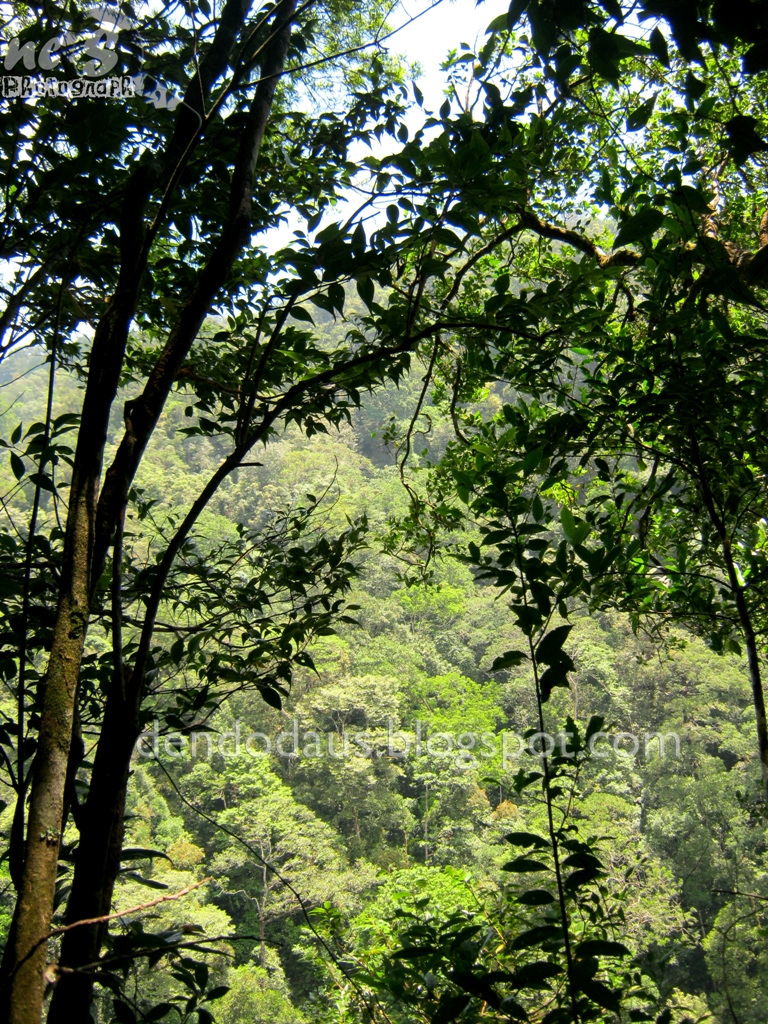 Taman Hutan Raya Bukit Barisan