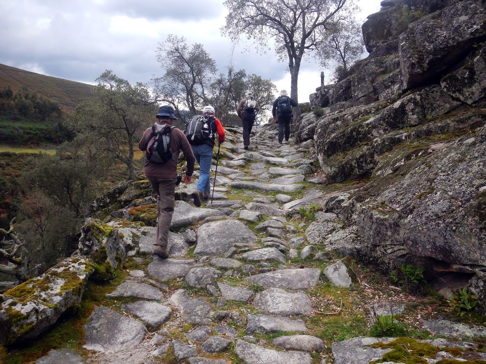 A caminho de Covelo de Paivô