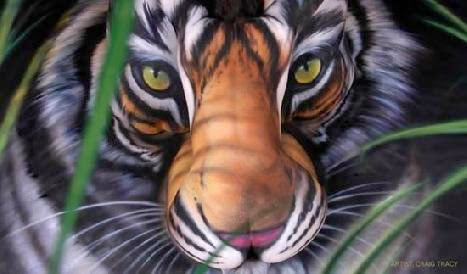 tiger body paint 1   Everything I Like