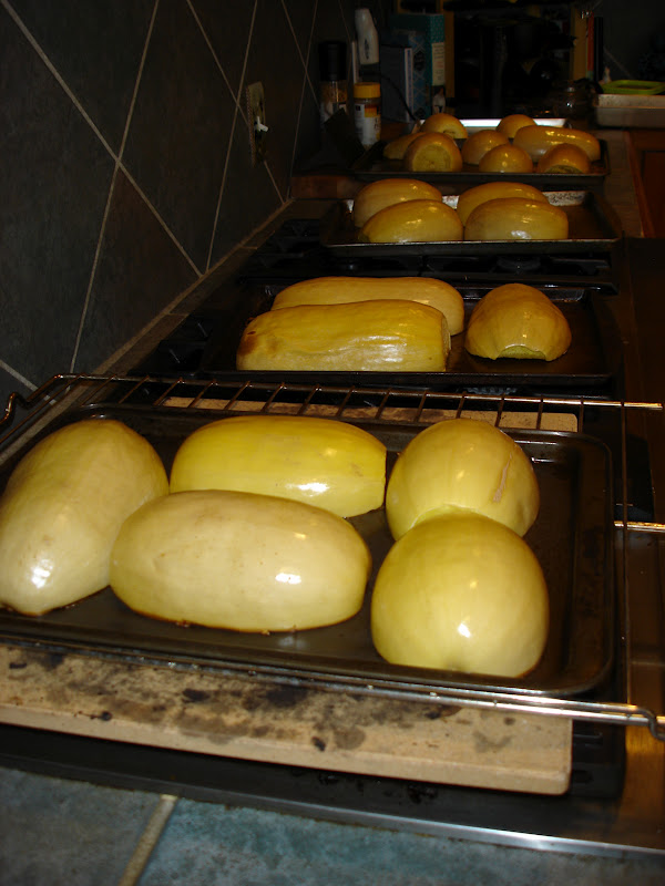MOVING ON TO THE PAST Dehydrated Spaghetti Squash