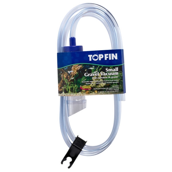 Betta Fish Awareness Day Betta Fish Care The True Cost of Buying a