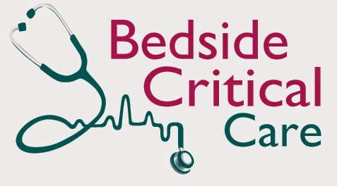 Caso de eficacia en el Acceso al Mercado 1 Bedside Critical Care Logo1