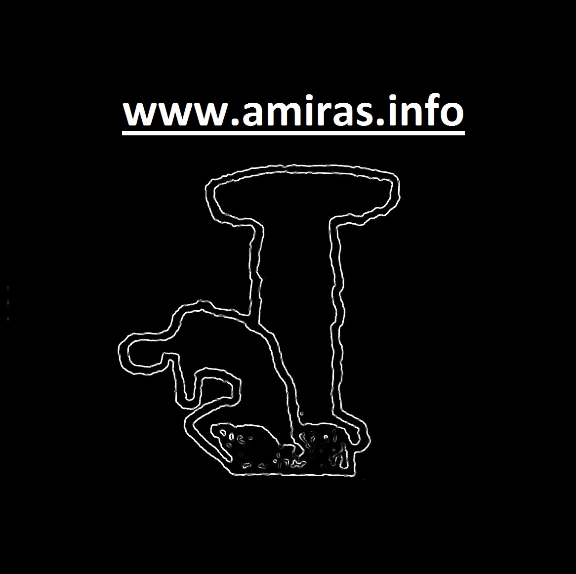 www.amiras.info