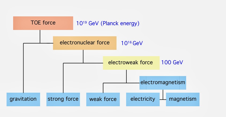 Scientific Explorer Gauge Theory