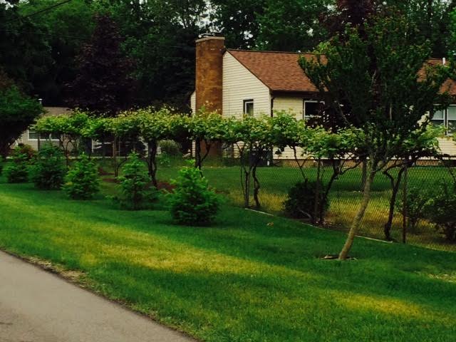 Irish Garden House Fence Hunt