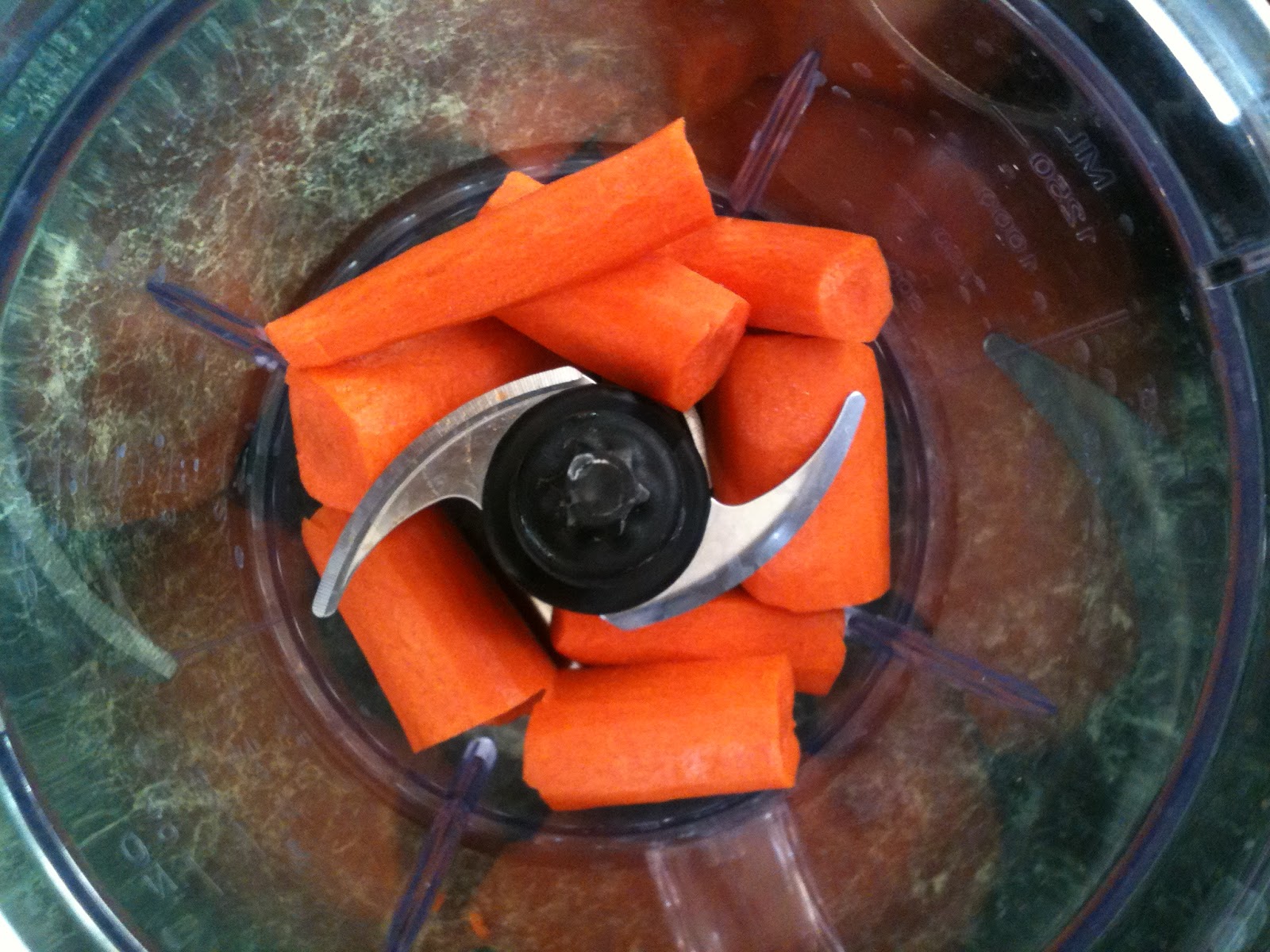 Honey's Creative Homemaking Carrot and Apple Juice Using A Kitchen Ninja