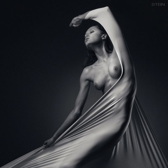 Vadim Stein fotografia nudez tecidos corpos músculos sexo sensual provocante