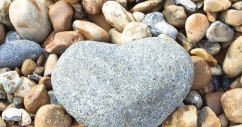 Veritas vincit Cuore di pietra