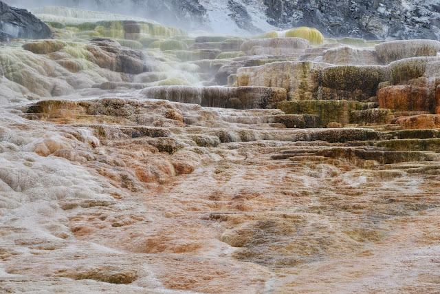 yellowstone