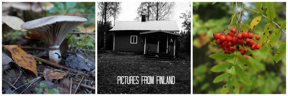 pictures from finland
