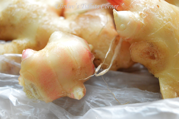 Elinluv's Tidbits Corner: Japanese Pickled Ginger